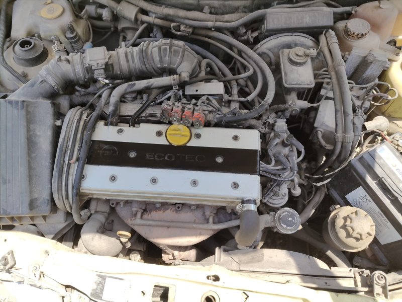 1991 - 2001 Opel Astra F 2.0 16 V Çıkma Motor