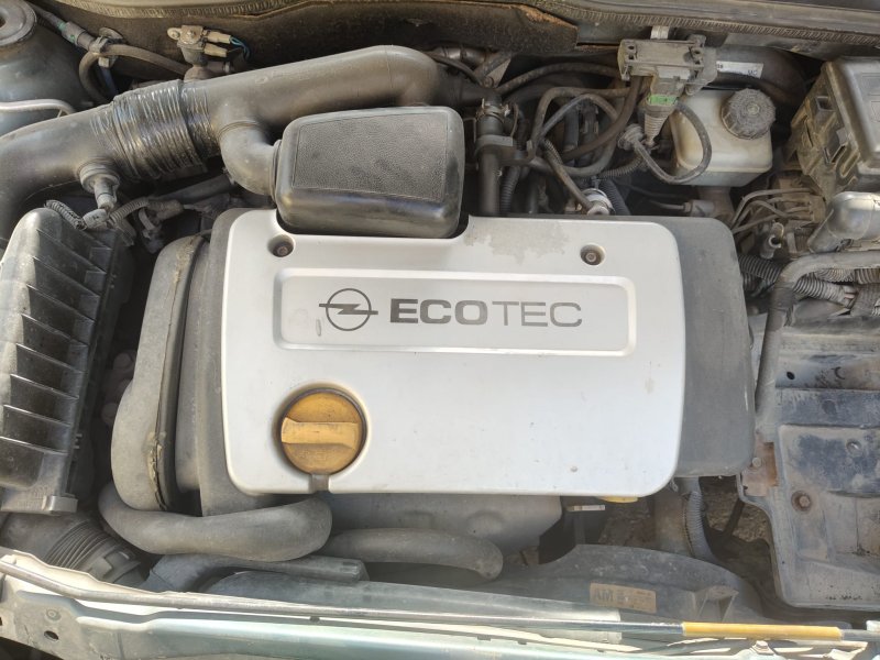 1998 - 2001 Opel Astra G 1.6 16 V X16XEL Çıkma Motor